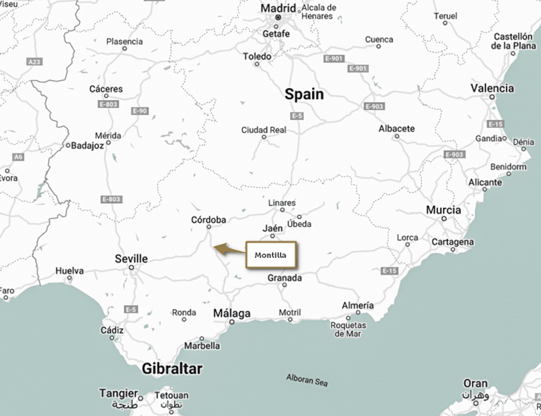 Solaryield_location_Montilla_Spain(2)